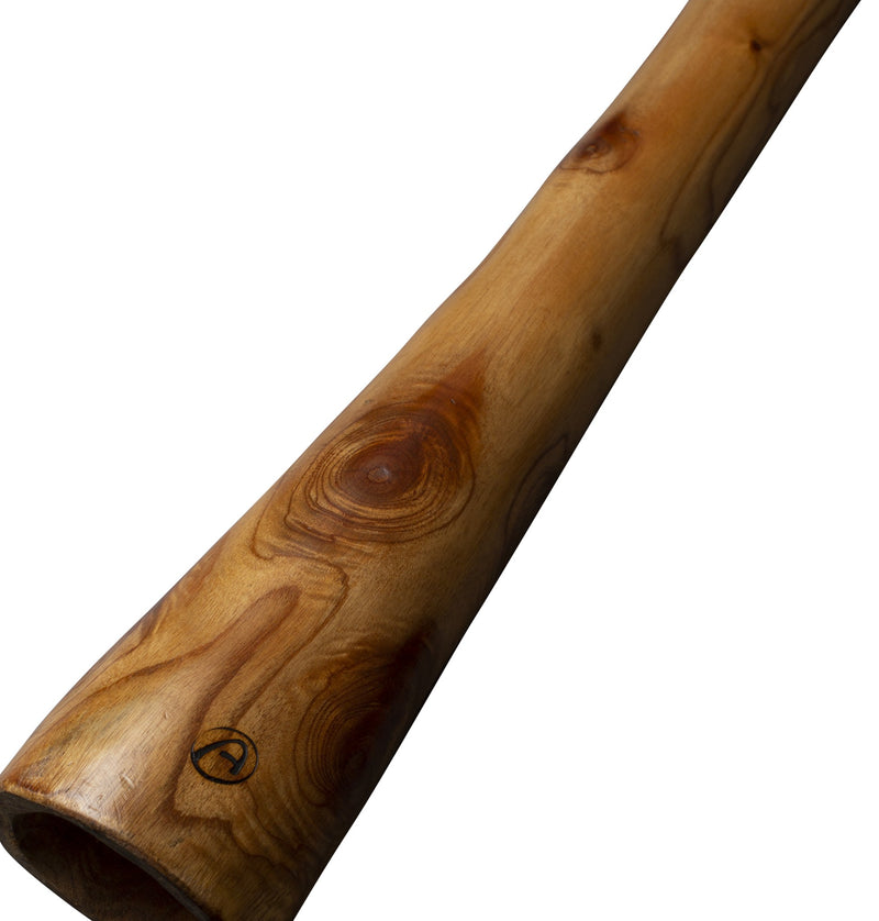 mahonie didgeridoo pro 147cm – inclusief tas, dvd & bijenwas