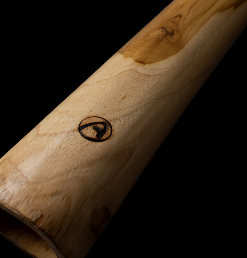 dreamtime'' pakket: houten didgeridoo 130cm - tas- boemerang 40cm - rainstick/ shaker 20cm