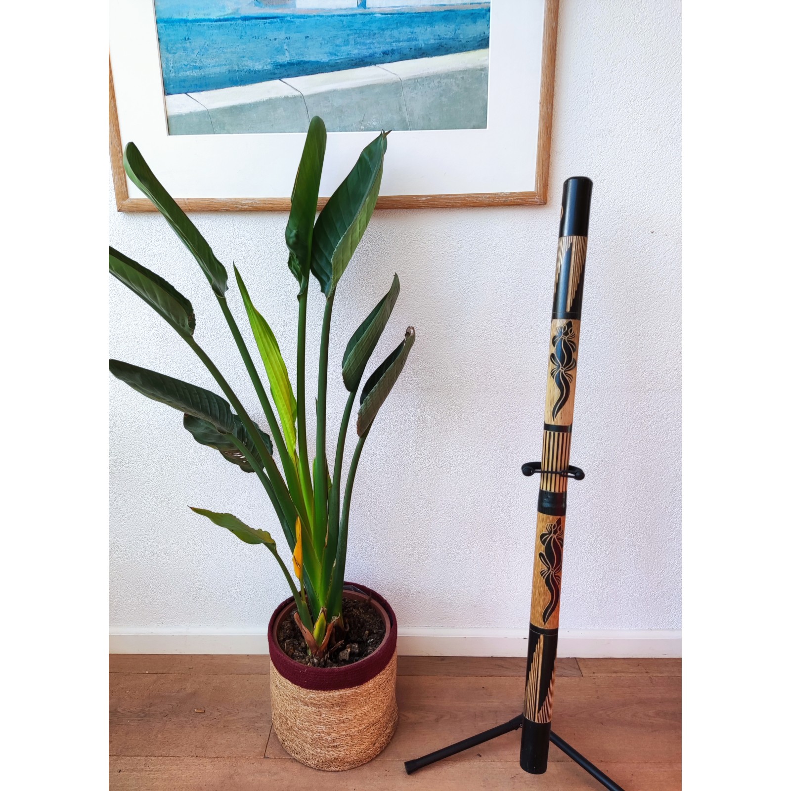 Bamboo Didgeridoo Including Didgeridoobag - Didgeridoo For Beginners