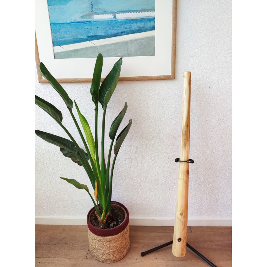 Didgeridoo - Treasures Didgeridoo: Natural Wood - Achat / Vente didgeridoo  Treasures Didgeridoo: Natural 