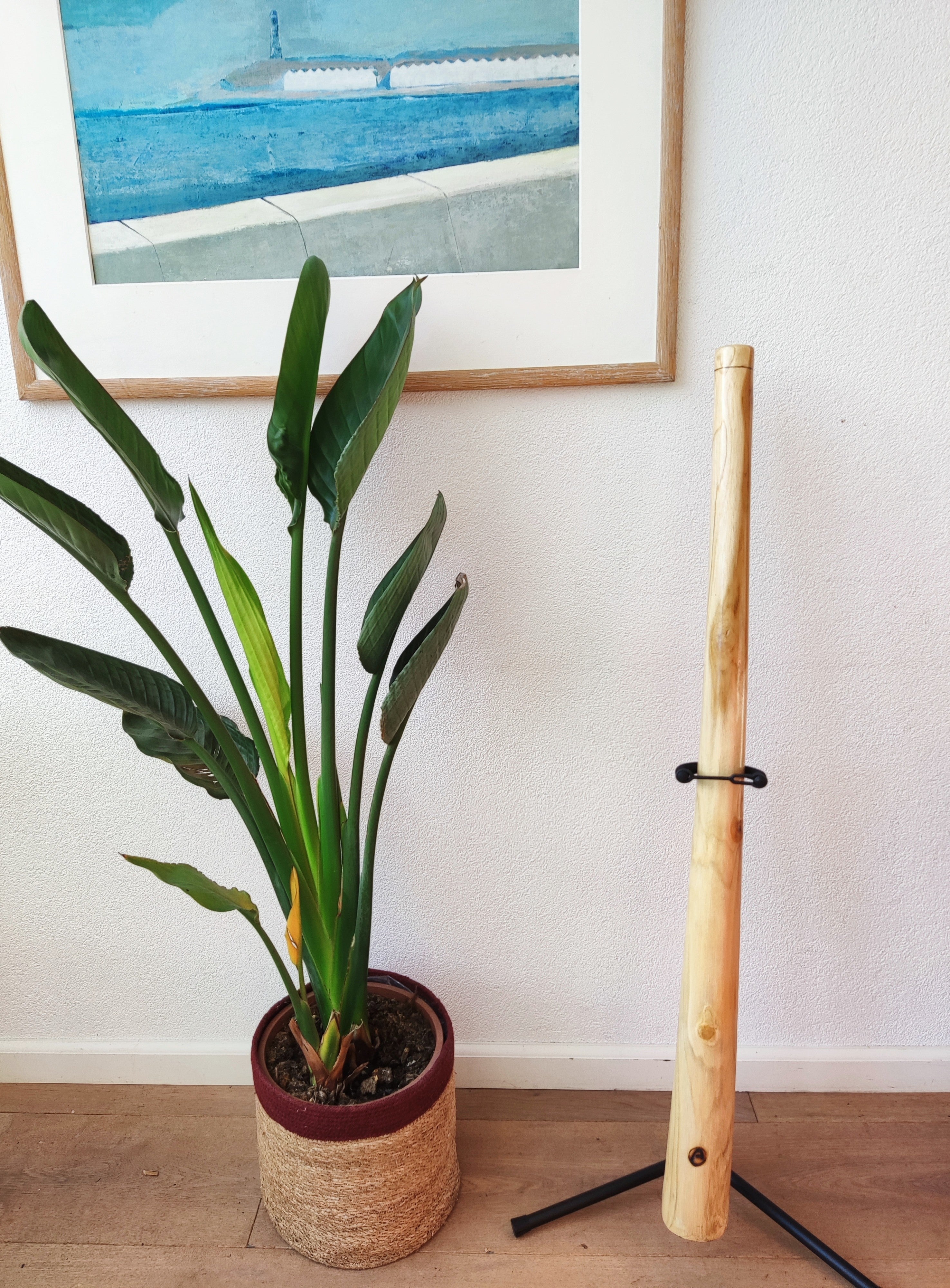 dreamtime'' pakket: houten didgeridoo 130cm - tas- boemerang 40cm - rainstick/ shaker 20cm