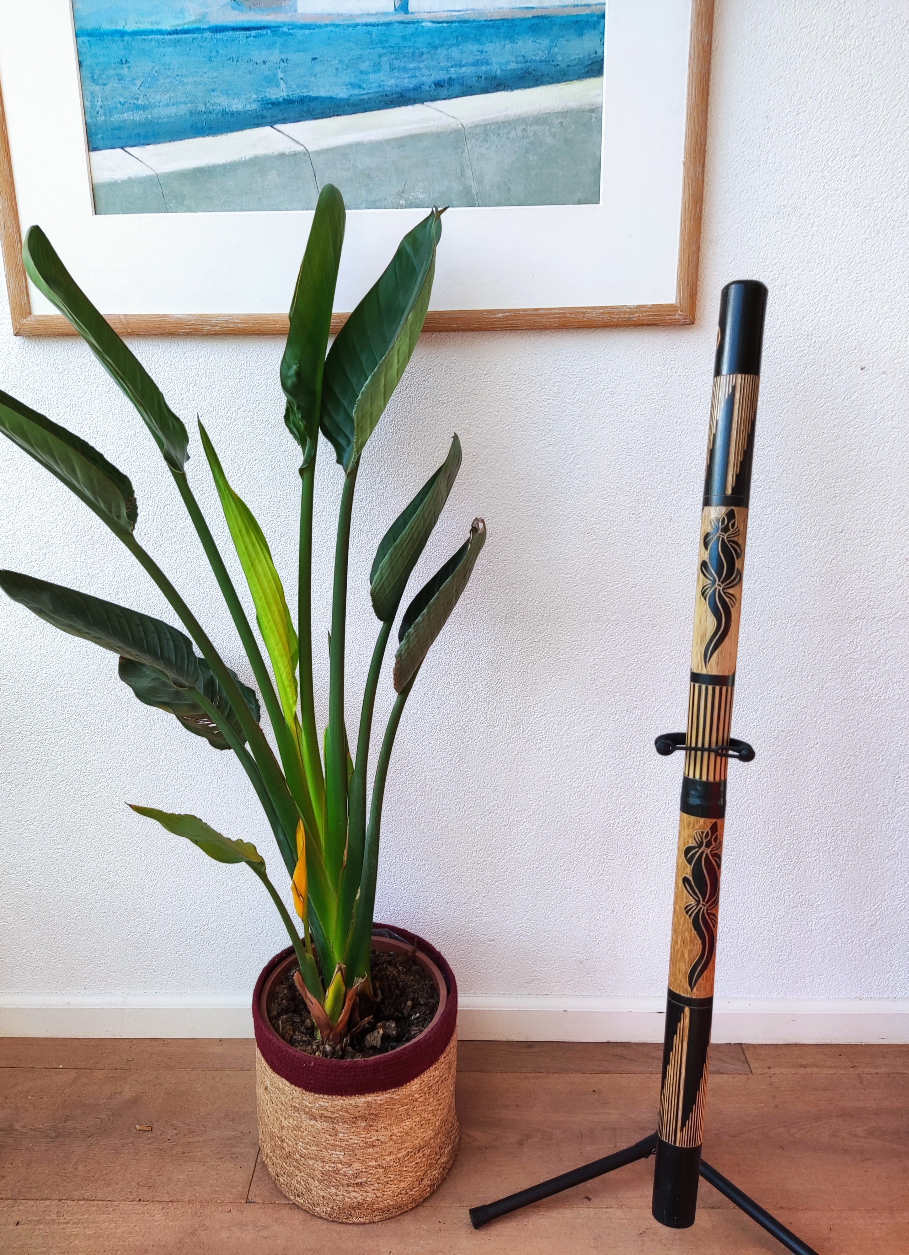 eenvoudig te bespelen bamboe didgeridoo voor beginners - met handgesneden lizard-patronen en nylon tas
