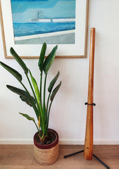 mahonie didgeridoo pro 147cm – inclusief tas, dvd & bijenwas