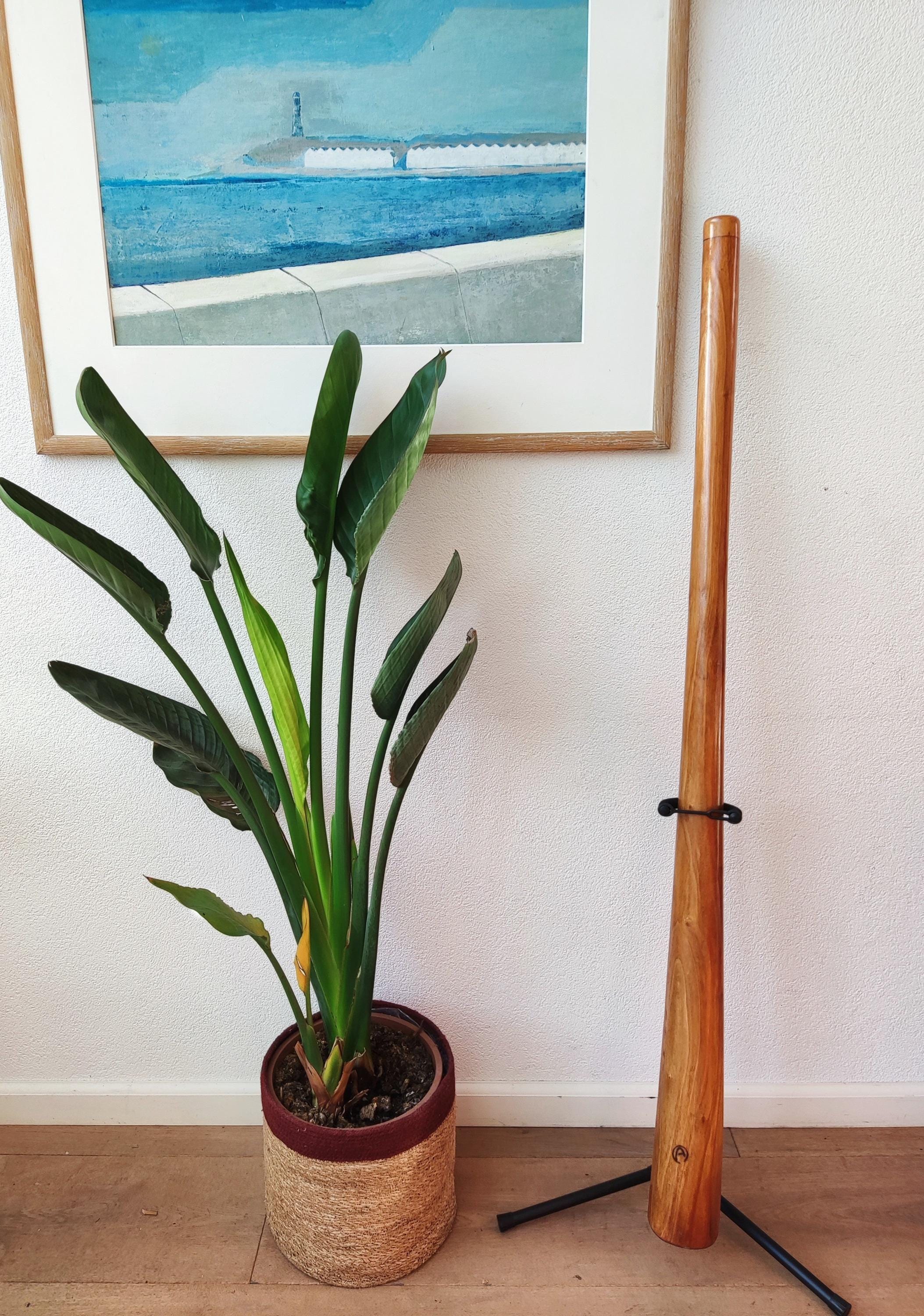 didgeridoo mahonie pro-series 147cm inclusief ikat bag, online cursus, bijenwas, beschermcover mondstuk, didgeridoostand