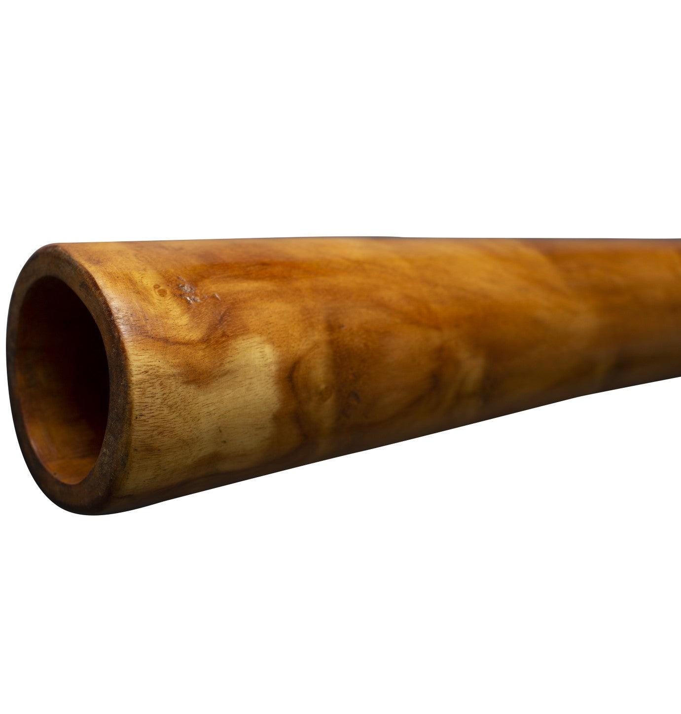 eucalyptus didgeridoo 130cm -inclusief stevige gevoerde ikat didgeridoobag